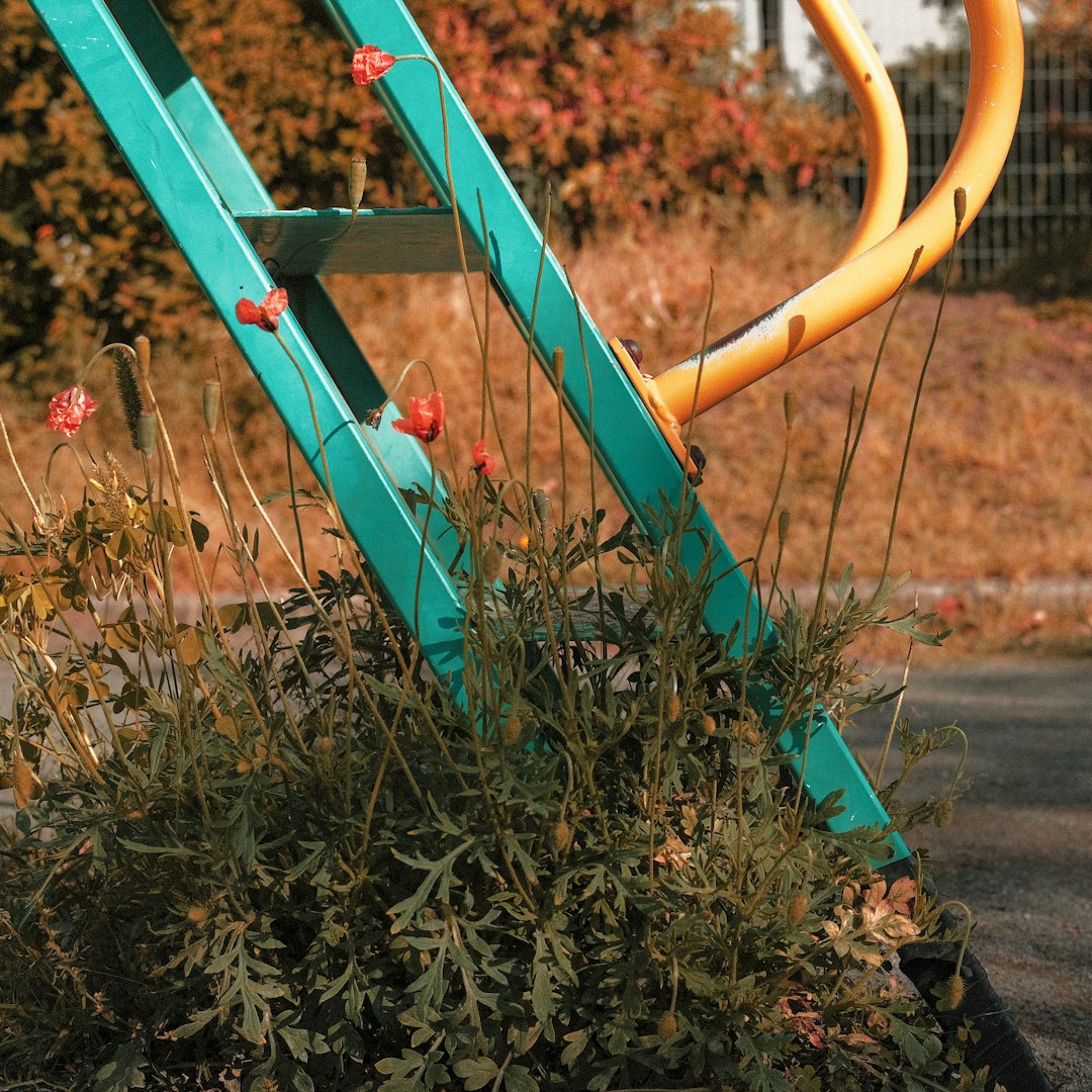 blue metal fence on green grass