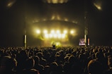 people watching concert during night time