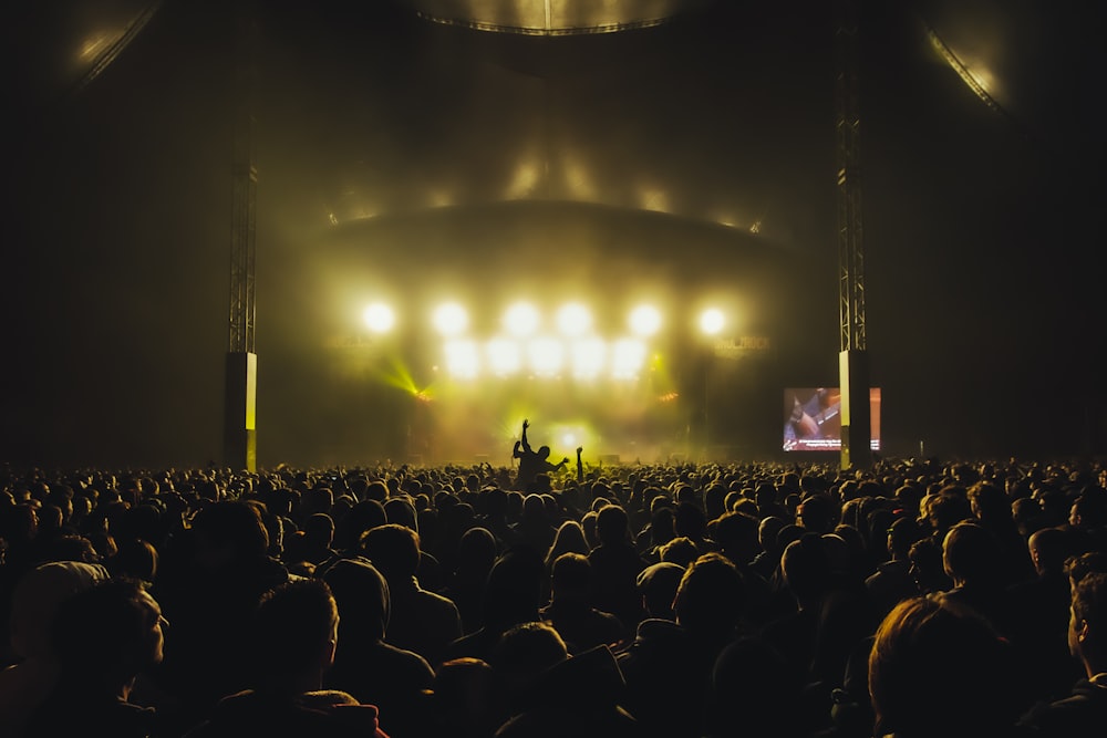 people watching concert during night time