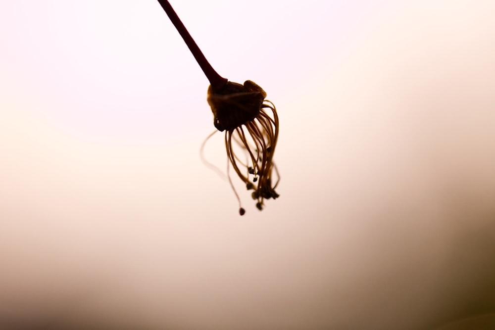 white string light on white wall