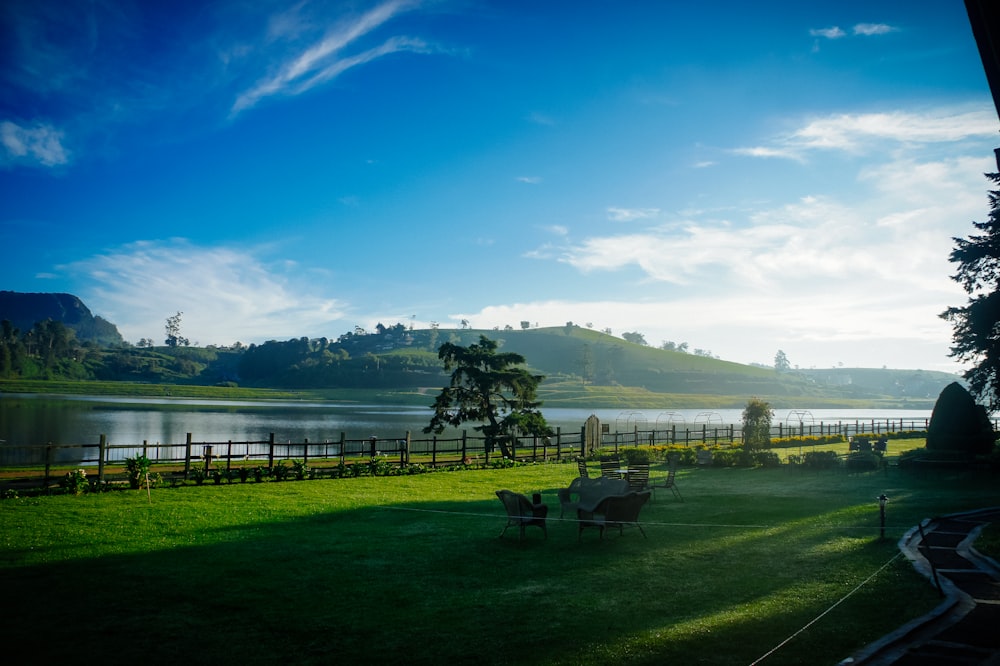 green grass field near body of water under blue sky during daytime