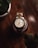 A luxury wristwatch with a metal and gold band is prominently displayed on a dark wooden surface. The watch face features a classic design with Roman numerals and a date window. In the foreground, two blurred potted plants are partially visible, adding depth to the composition.
