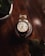 A luxury wristwatch with a metal and gold band is prominently displayed on a dark wooden surface. The watch face features a classic design with Roman numerals and a date window. In the foreground, two blurred potted plants are partially visible, adding depth to the composition.