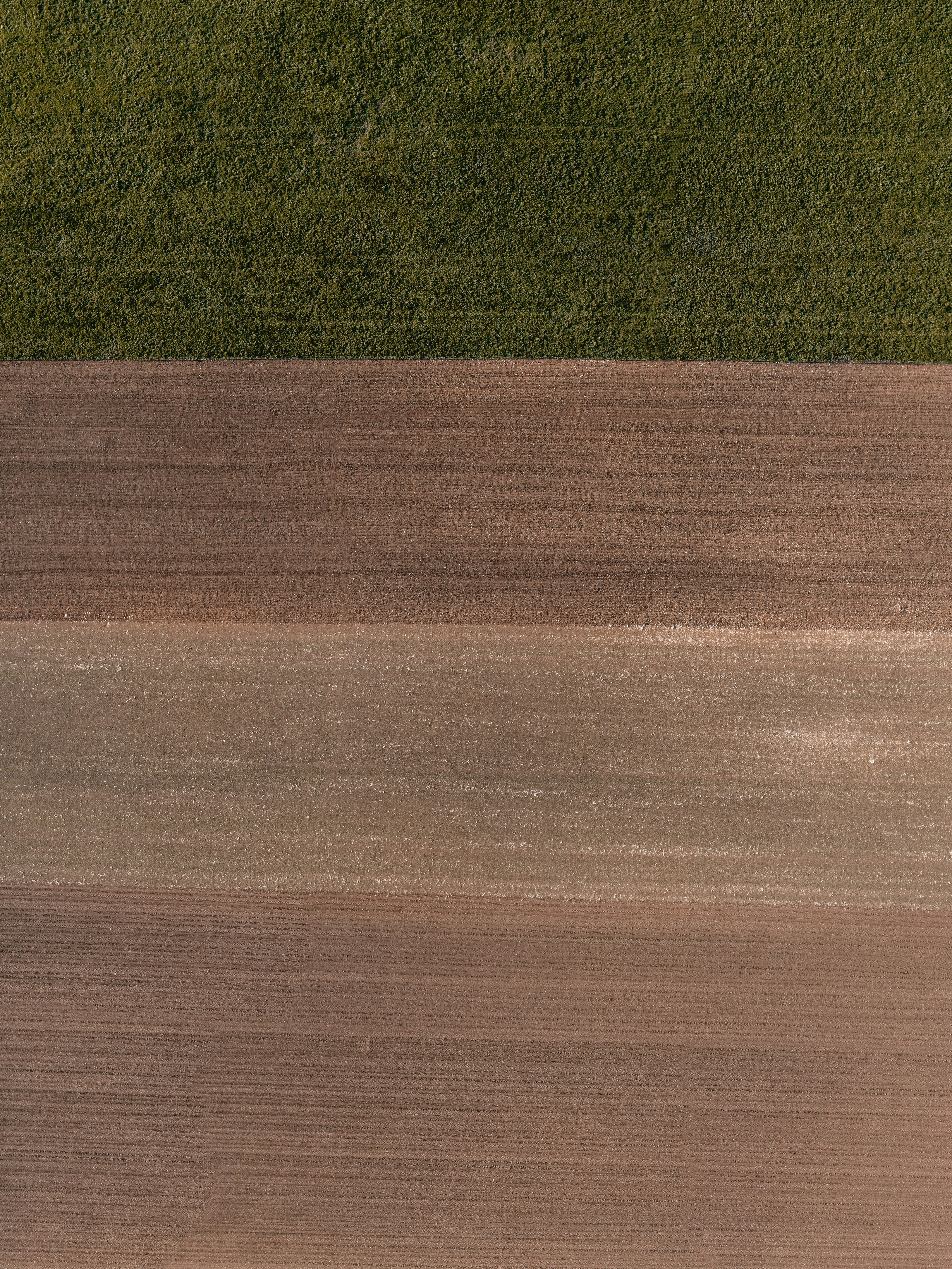 green grass field during daytime