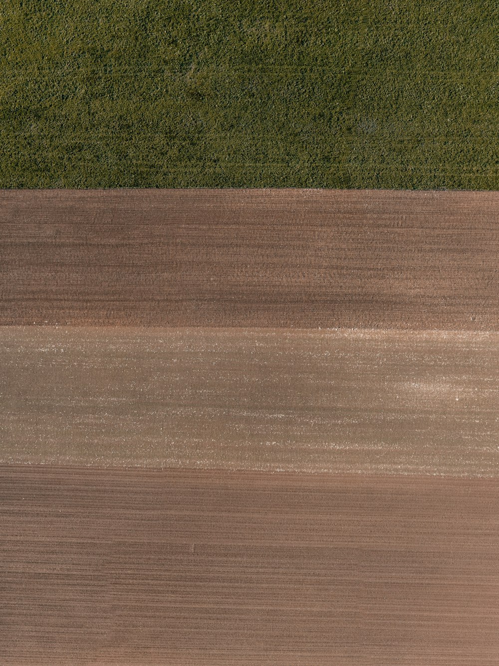 green grass field during daytime