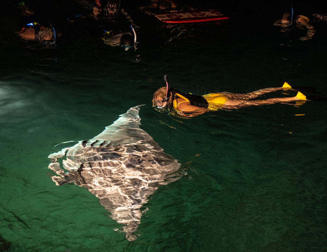 woman in black and yellow bikini swimming in the pool