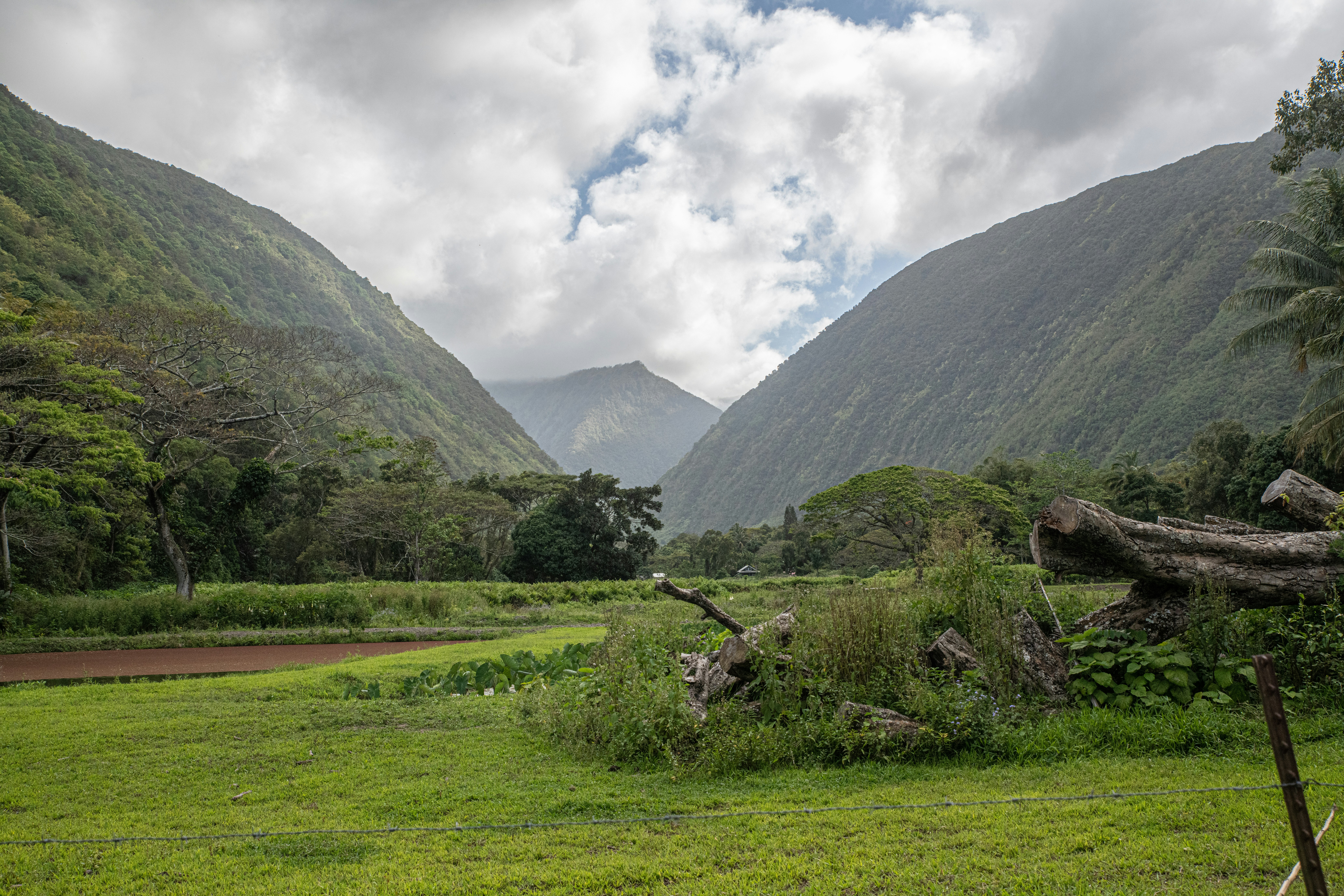 Green grass field near green mountain under white clouds during daytime ...