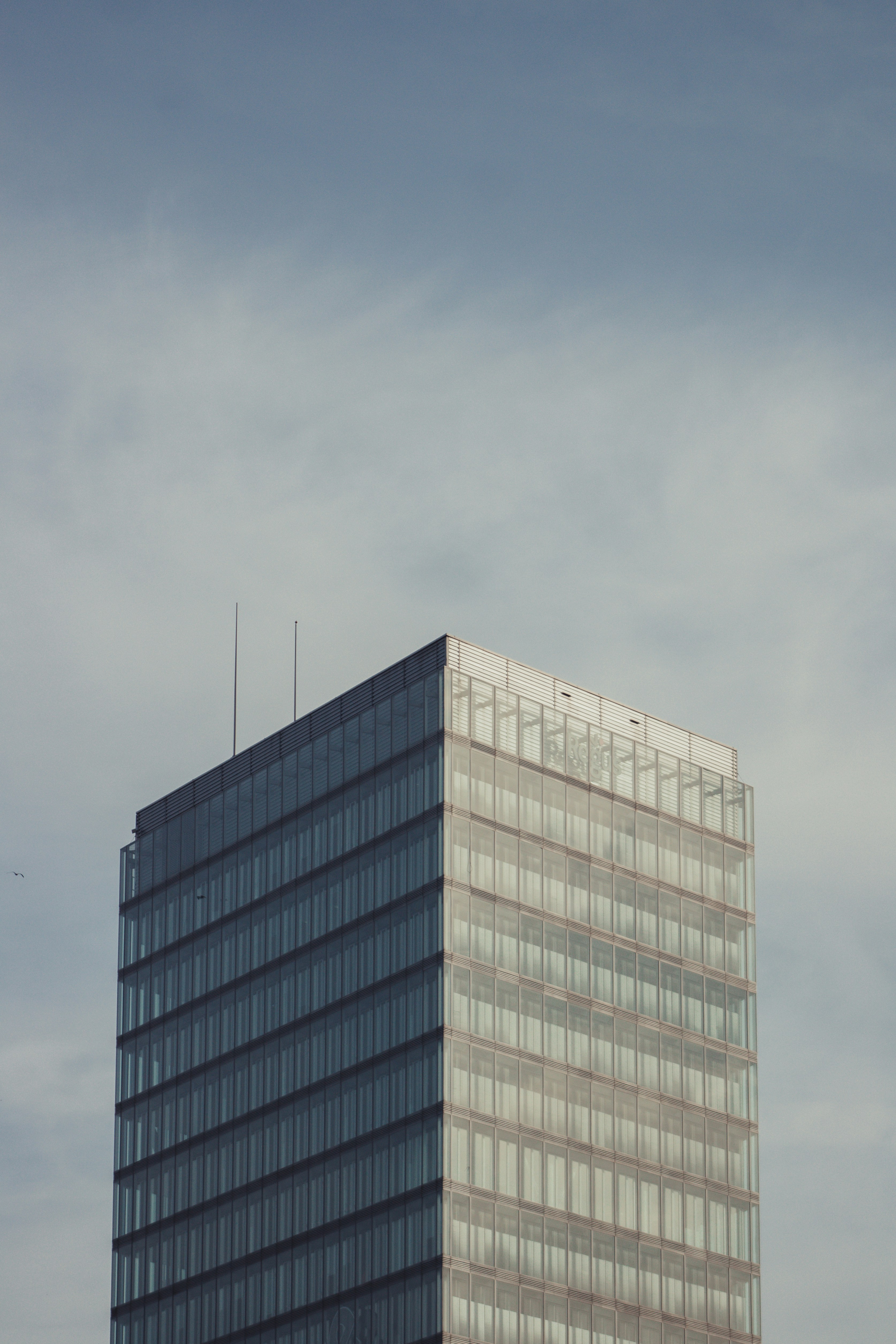 Photo by remco_marien