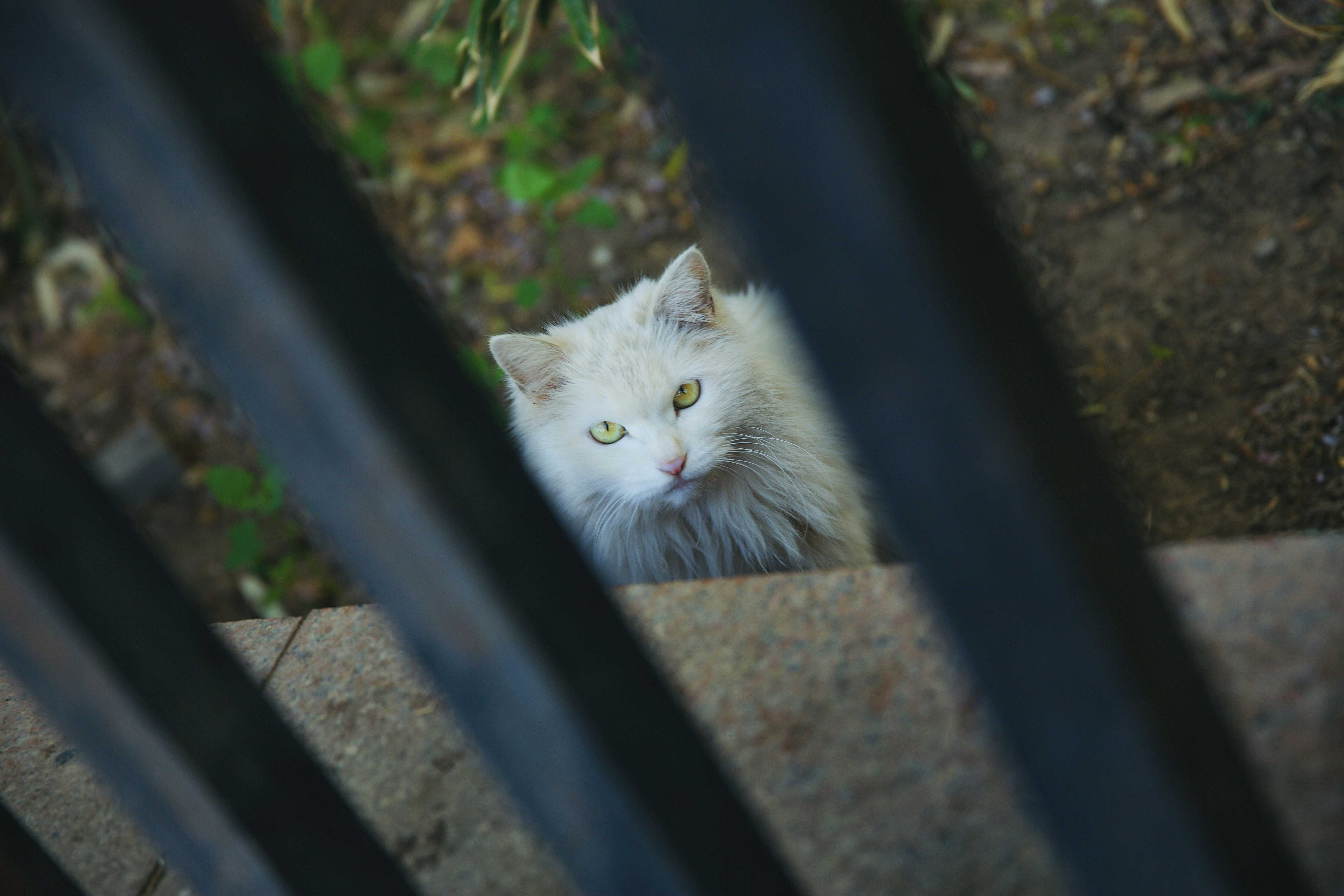 Photo by tommyskywalker