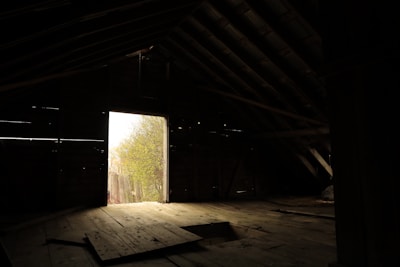 A dimly lit interior of an attic with wooden floors and beams. Light is streaming in from an open doorway, revealing a glimpse of greenery outside. The contrast between the dark interior and bright exterior creates a dramatic effect.