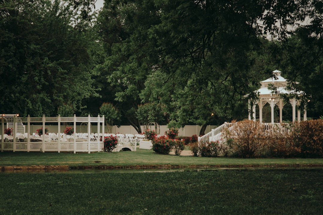 green grass field with trees and white wooden fence