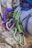 Several climbing carabiners in silver and green are attached to a harness on a person's waist, with a purple climbing rope lying nearby on a rock surface.