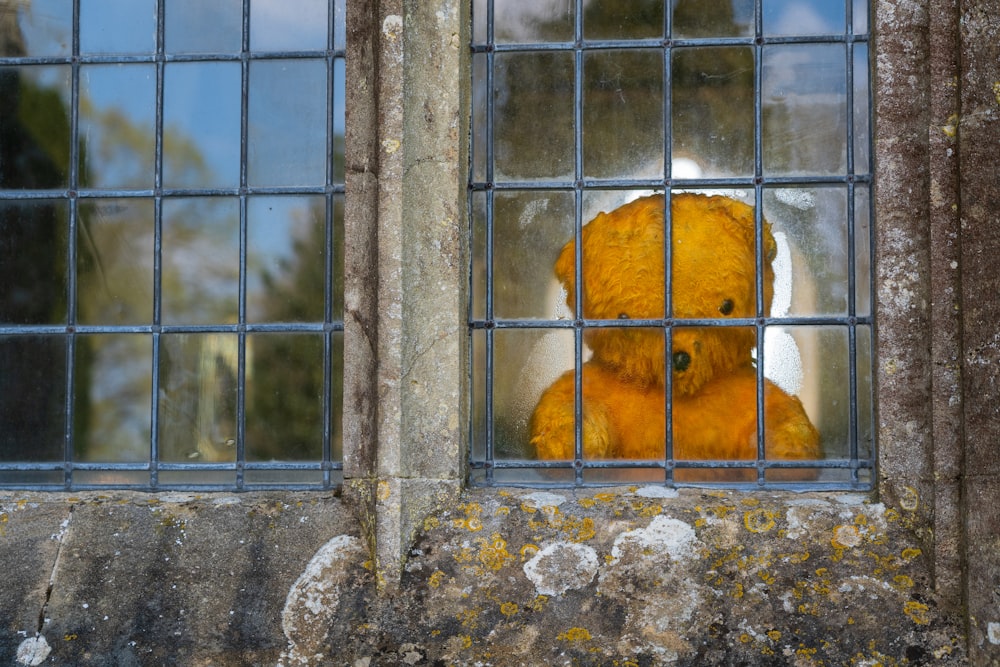 brown teddy bear on window