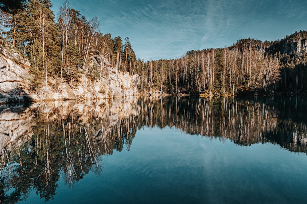 green trees beside body of water during daytime