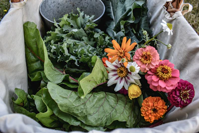 A vibrant basket filled with fresh leafy greens and colorful vegetables from the farm.
