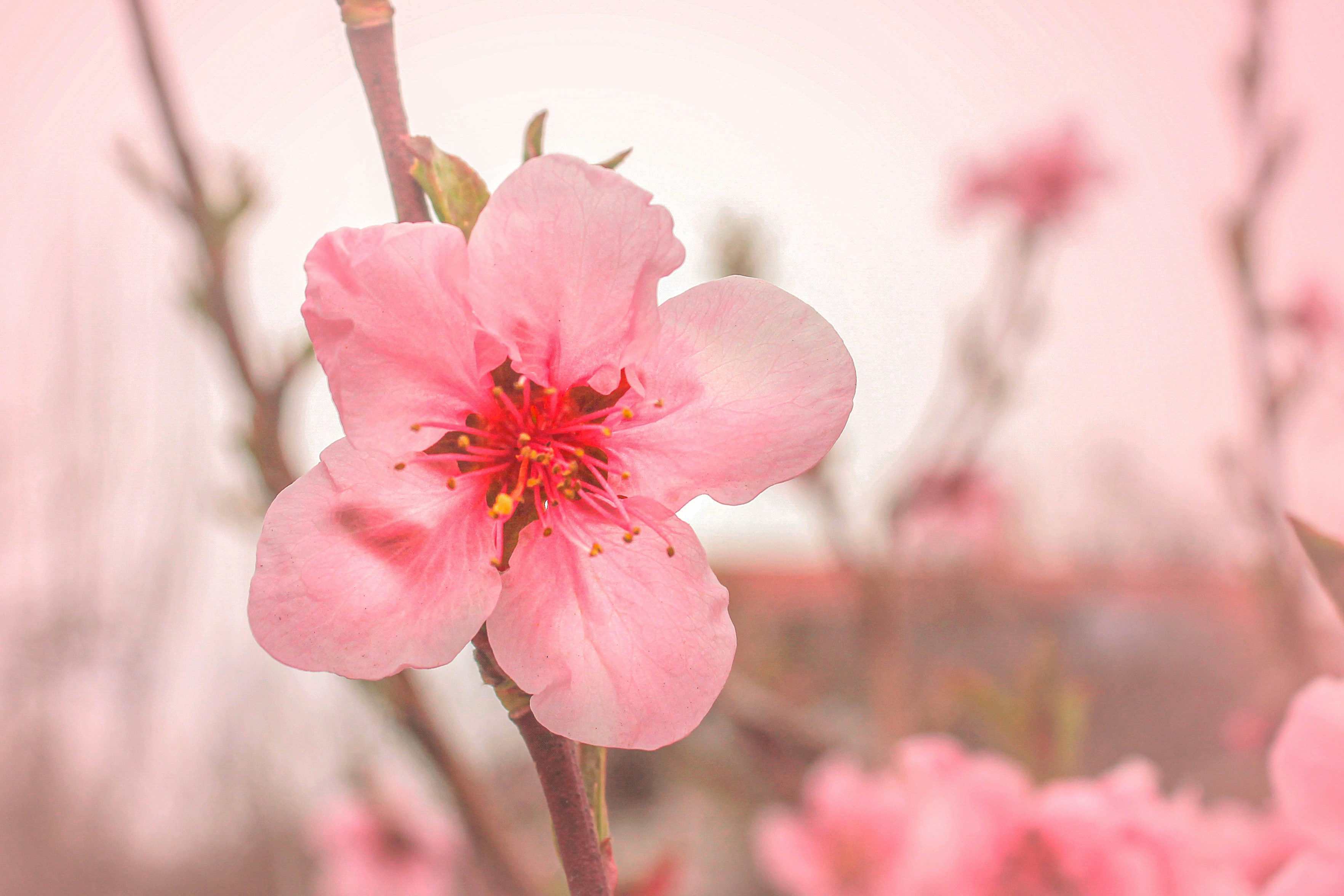 Photo by olgamusiichuck