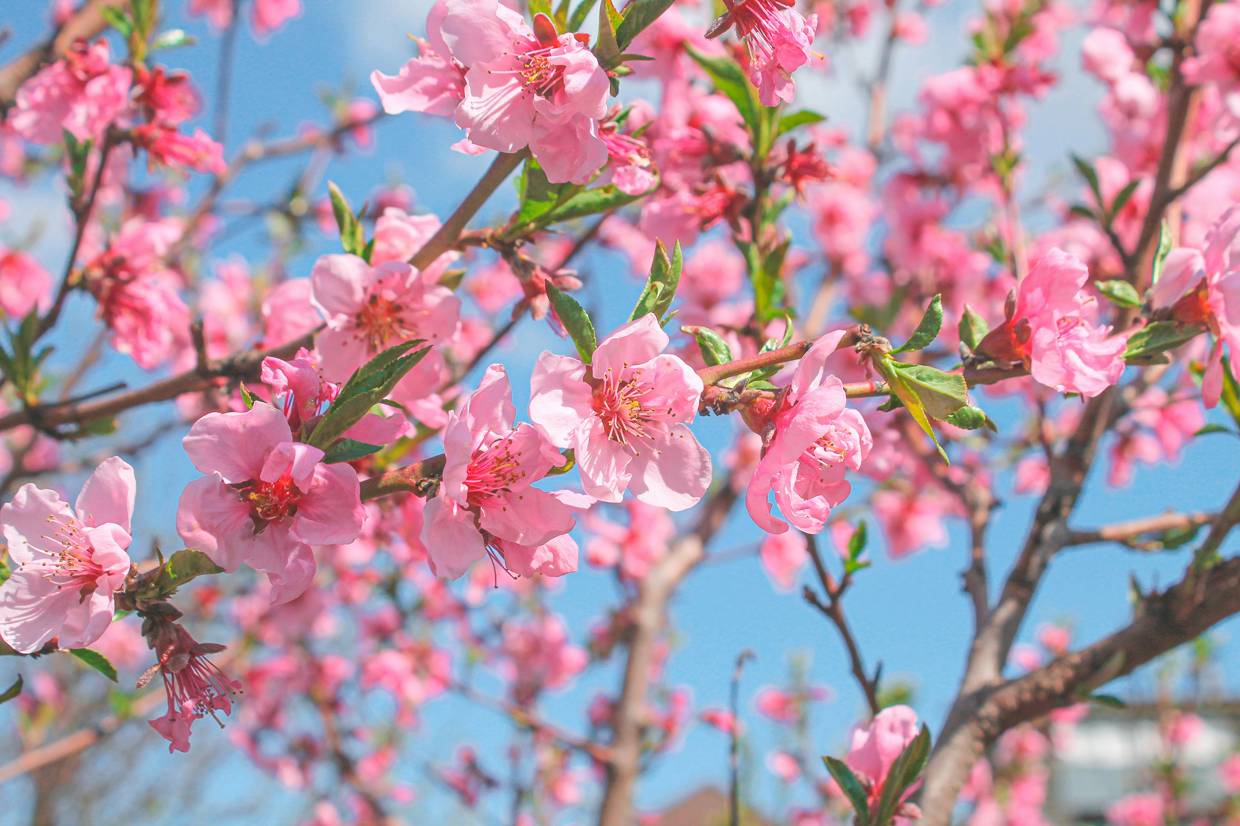 Photo by olgamusiichuck