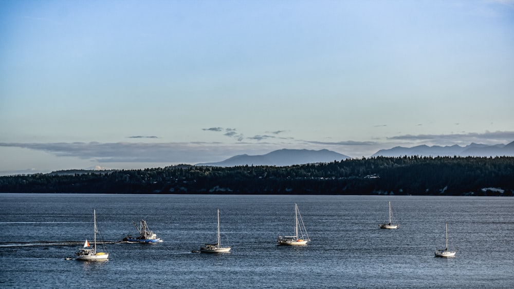 white boat on body of water during daytime