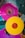 Two vinyl records, one magenta and one yellow, are placed over several album covers featuring a variety of designs and colors.