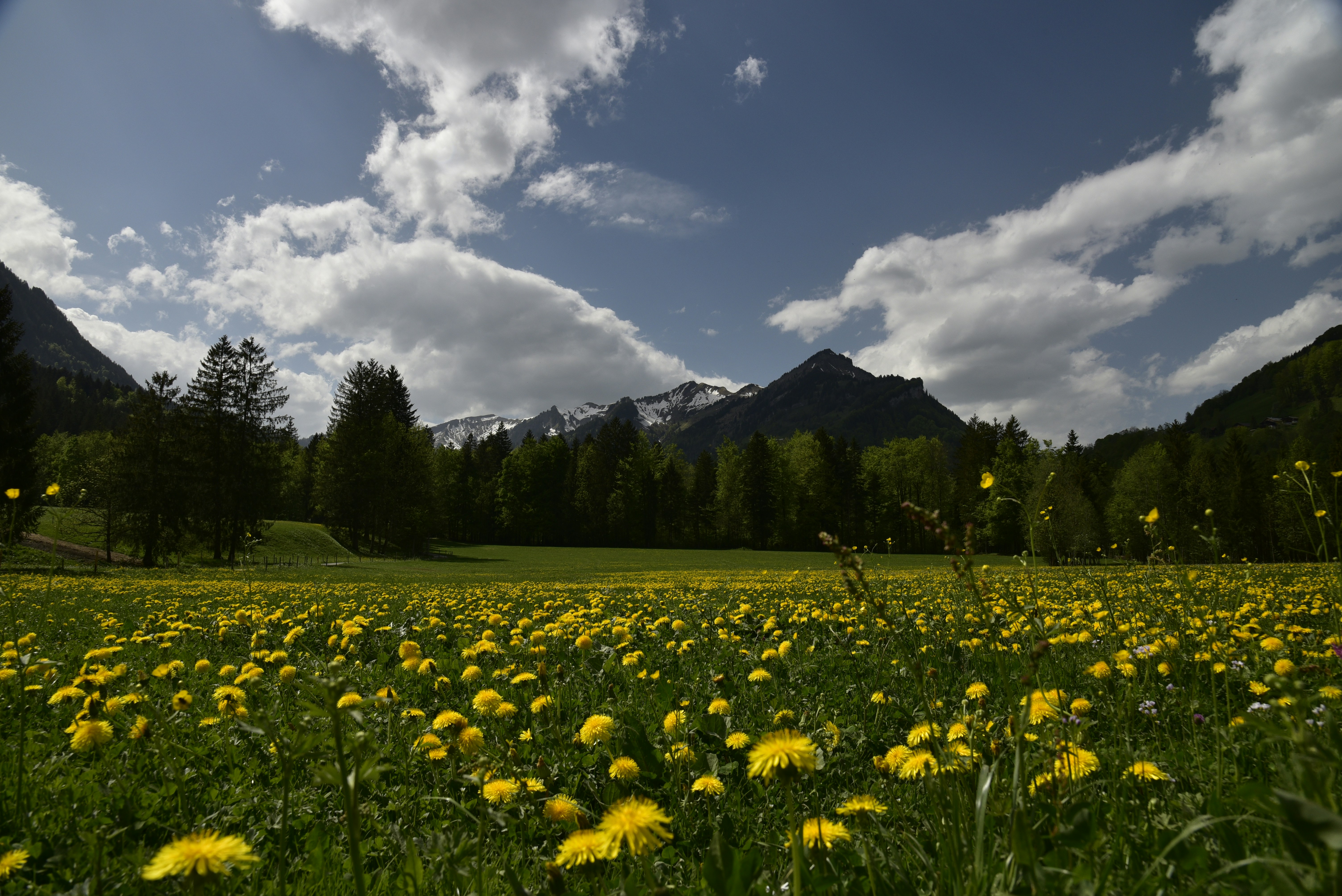 Photo by der_niederrainer