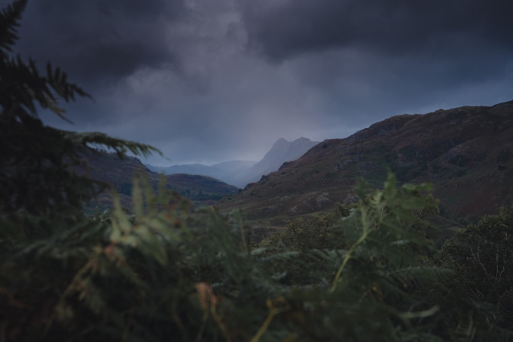 green grass field near mountain under gray clouds