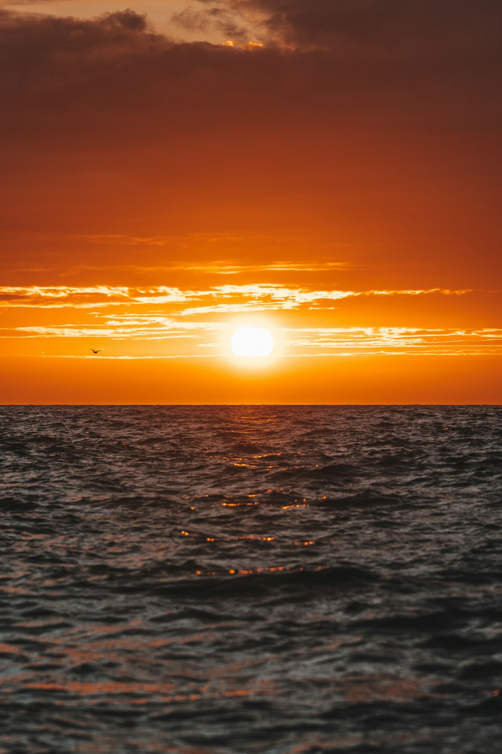 body of water during sunset