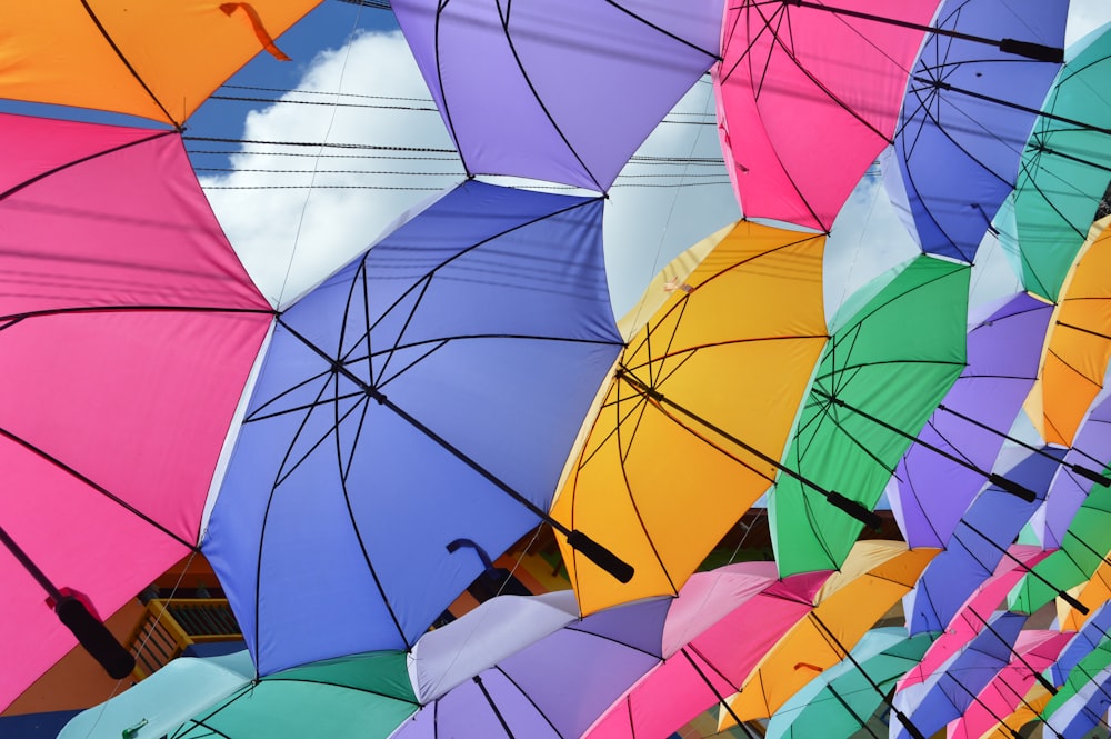 blue red and white umbrella