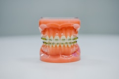 orange green and yellow plastic toy