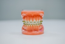 A realistic dental model displaying a full set of teeth fitted with orthodontic braces. The model is placed against a plain background, highlighting the intricate details of the braces and the gums.