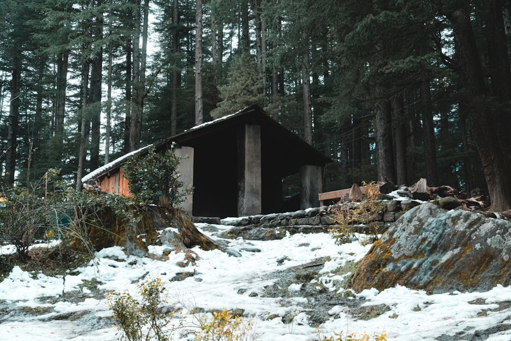 casa di legno marrone nel mezzo della foresta durante il giorno