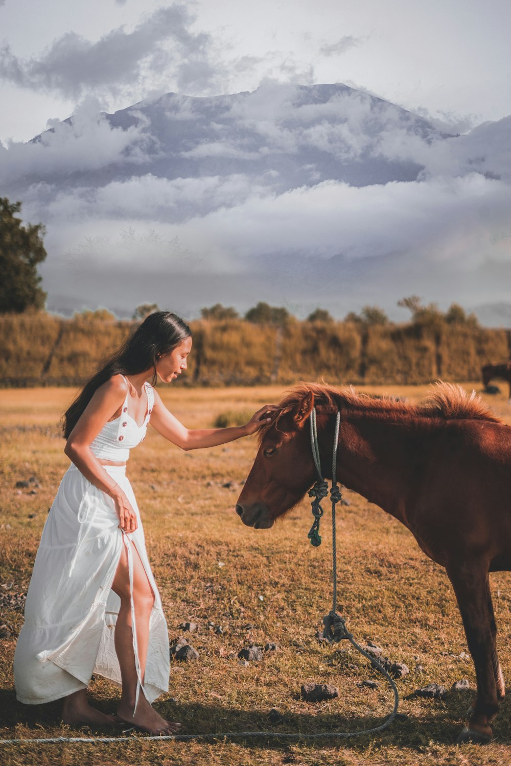 femme en robe blanche debout à côté d’un cheval brun pendant la journée