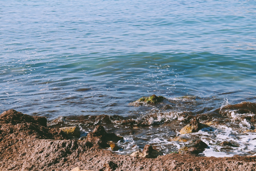 body of water near rocks during daytime