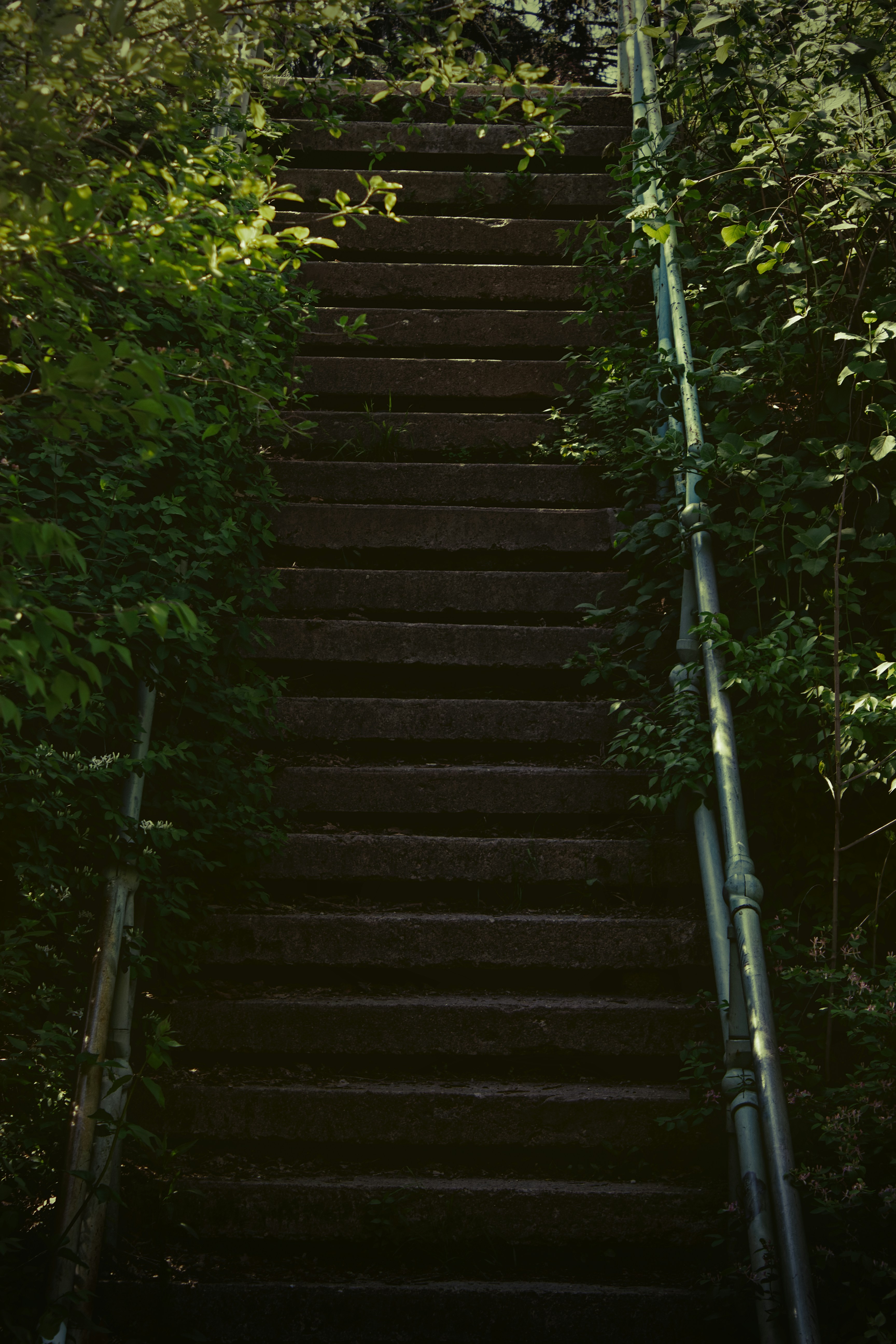 Photo by mrgreatheart