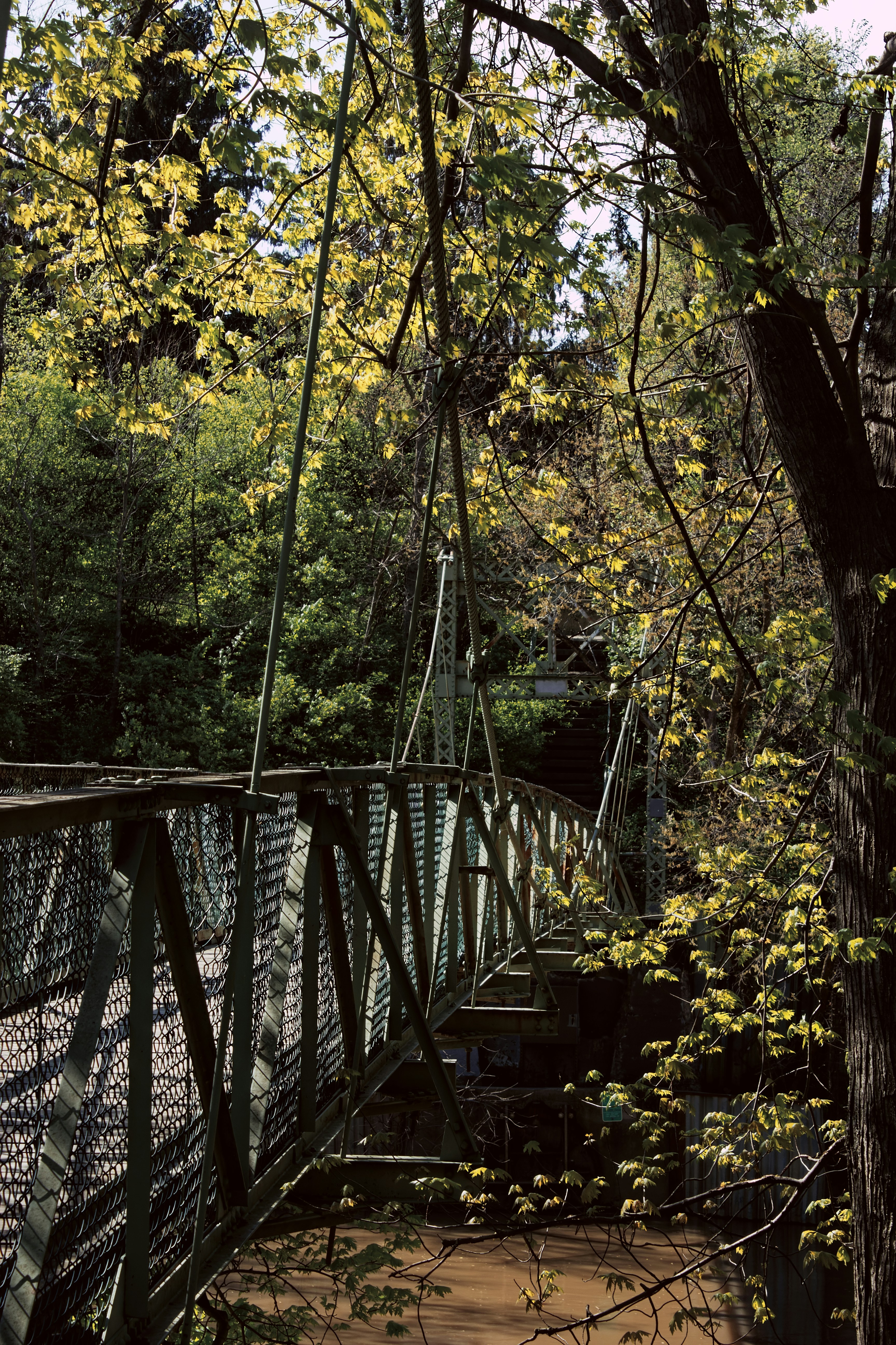 Photo by mrgreatheart