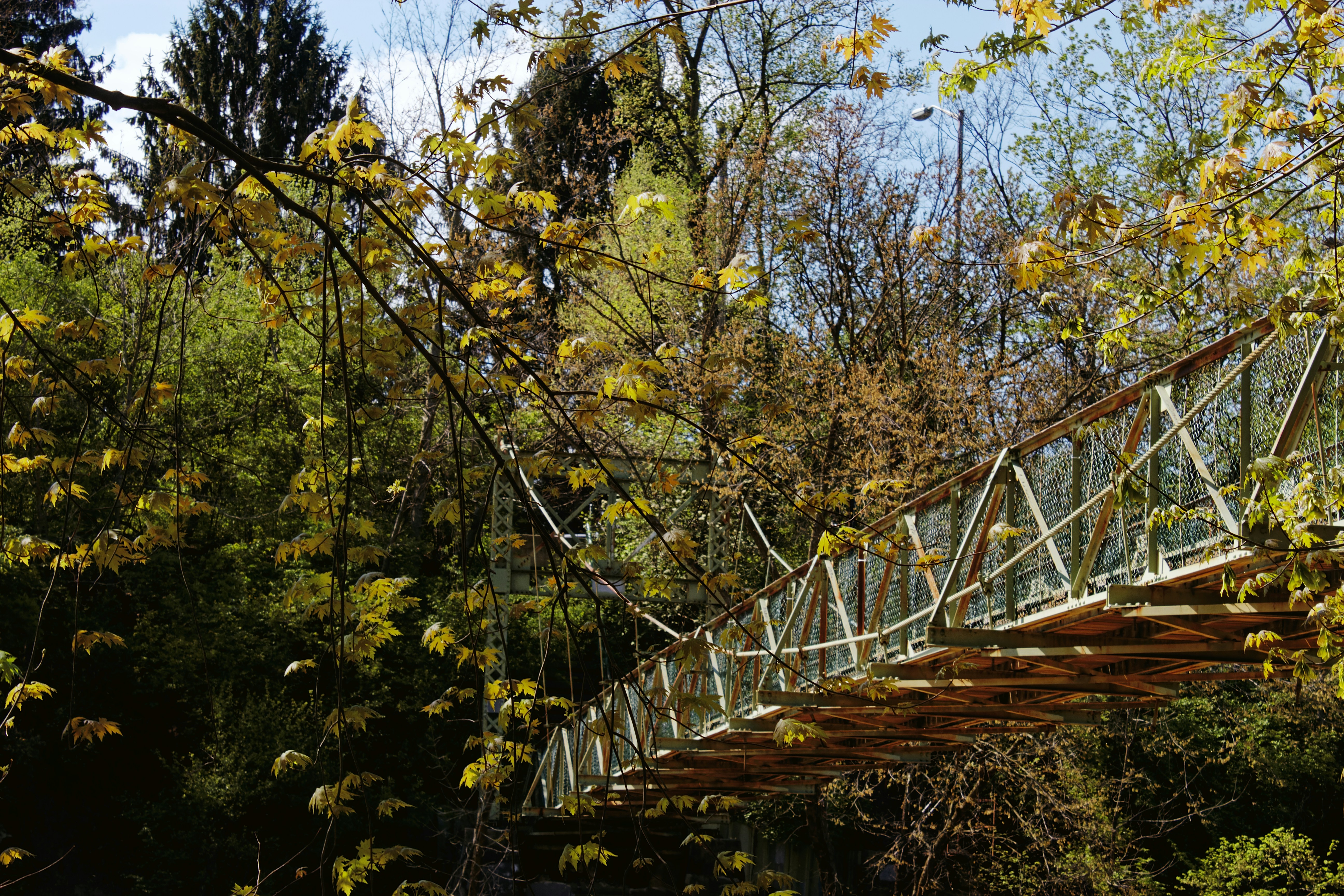 Photo by mrgreatheart