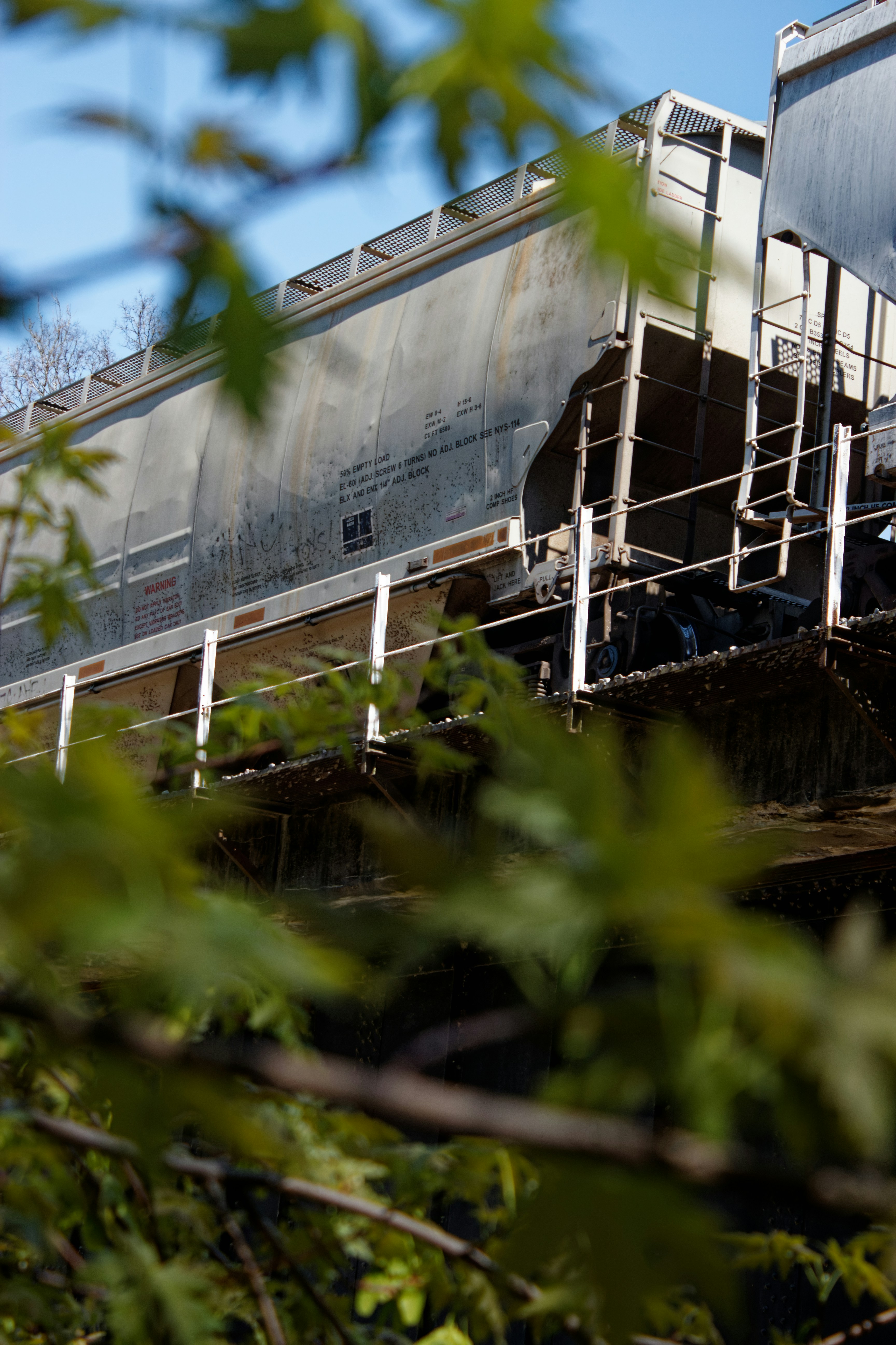 Photo by mrgreatheart