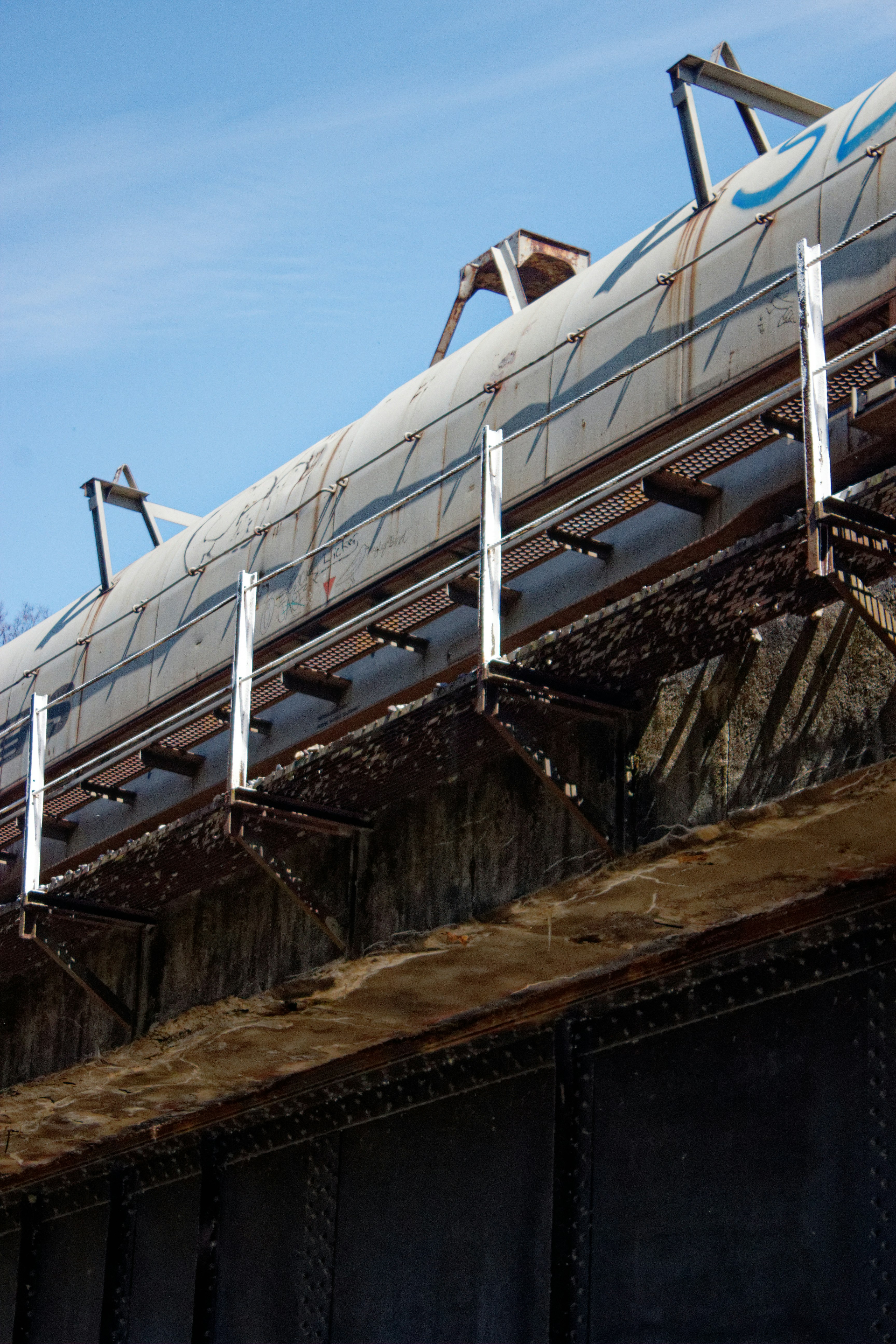 Photo by mrgreatheart