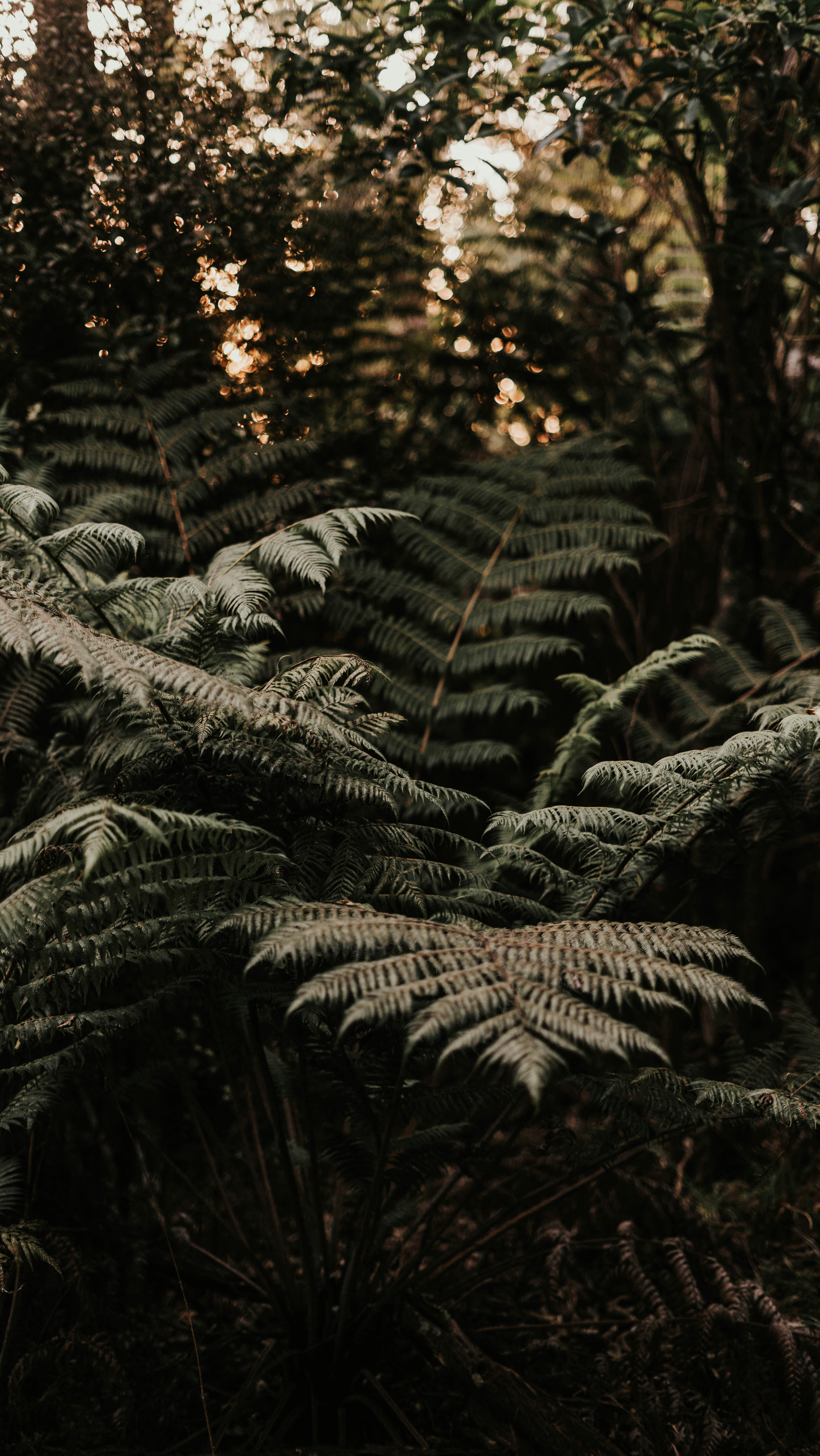 Photo by annie_dogger