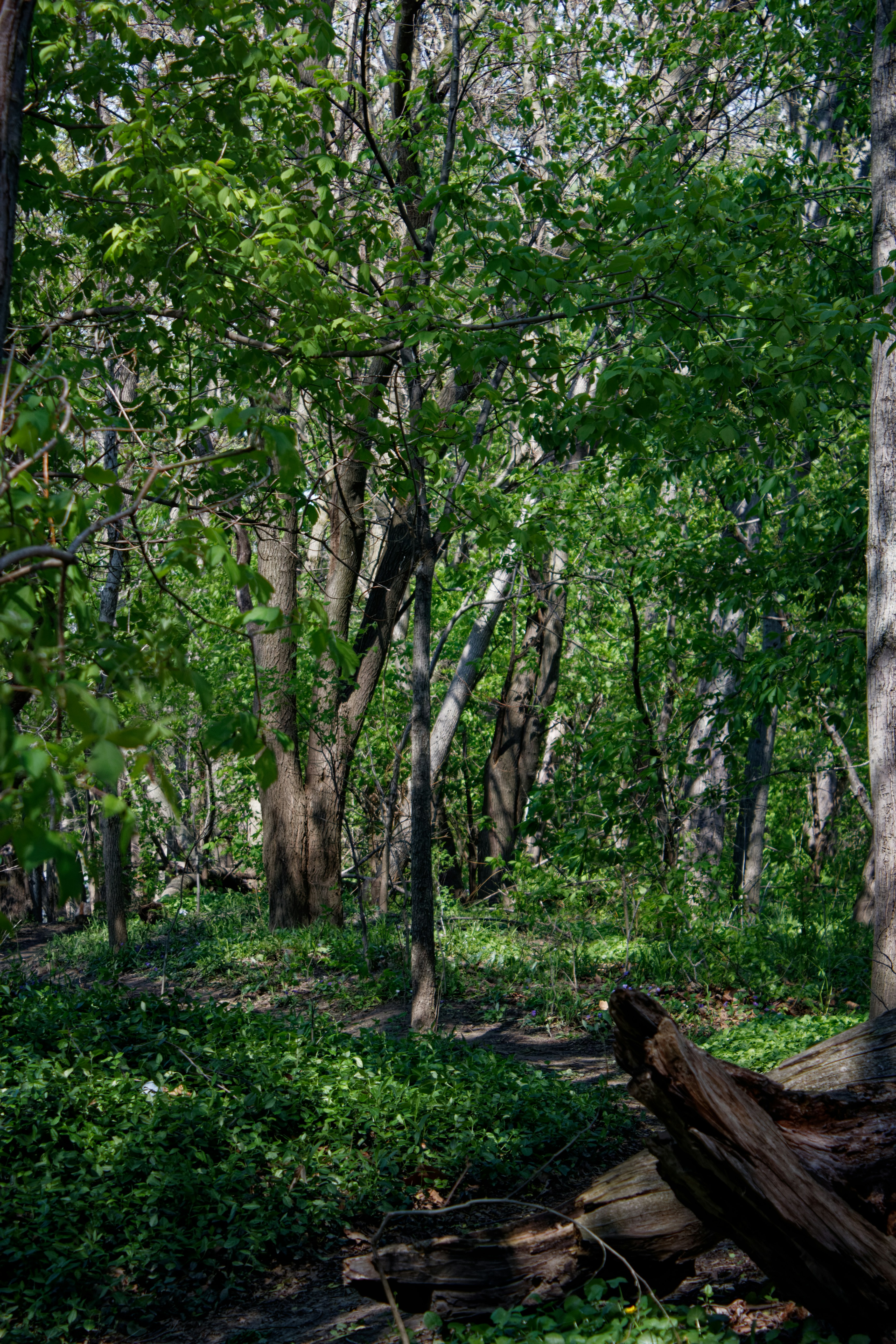 Photo by mrgreatheart