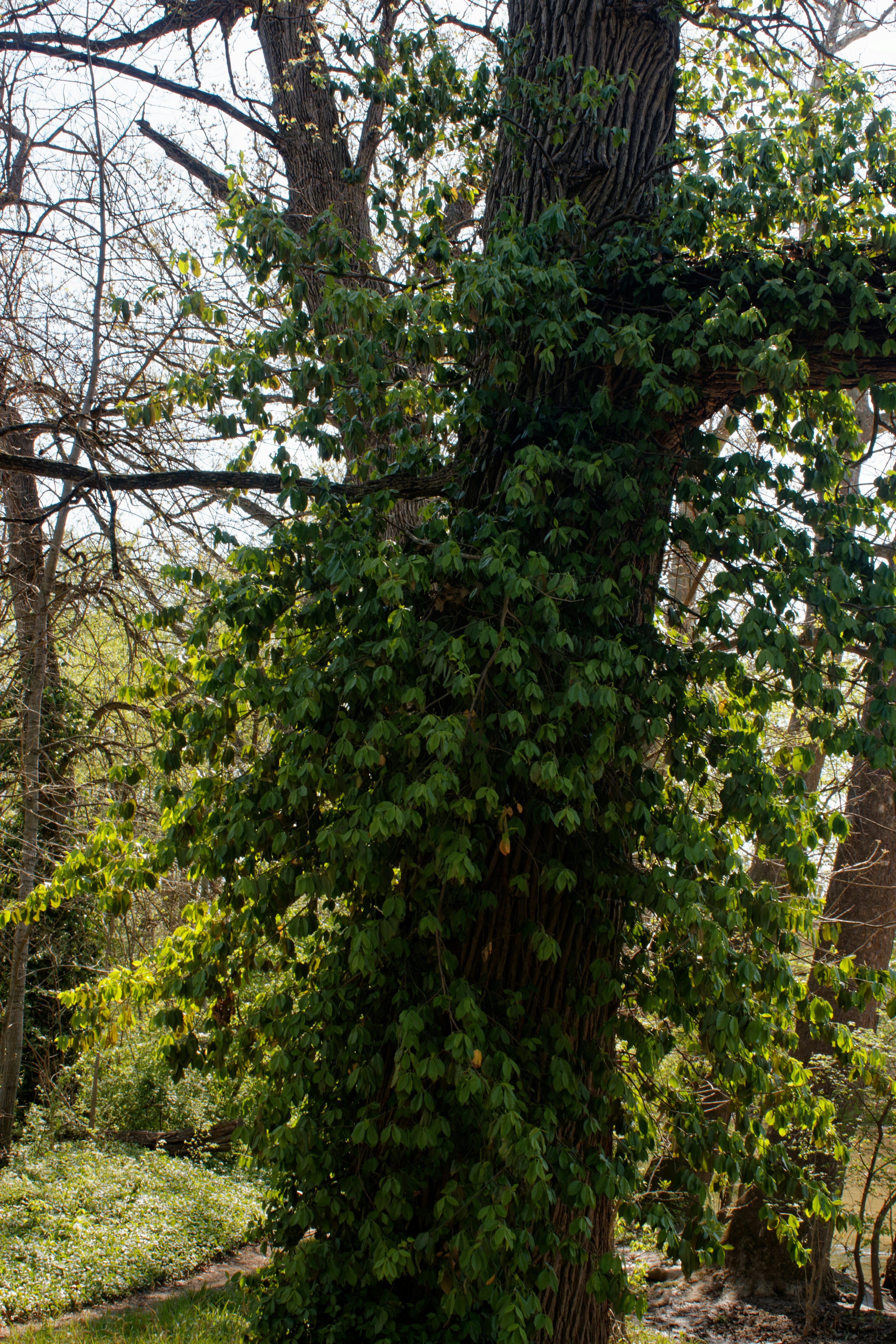 Photo by mrgreatheart