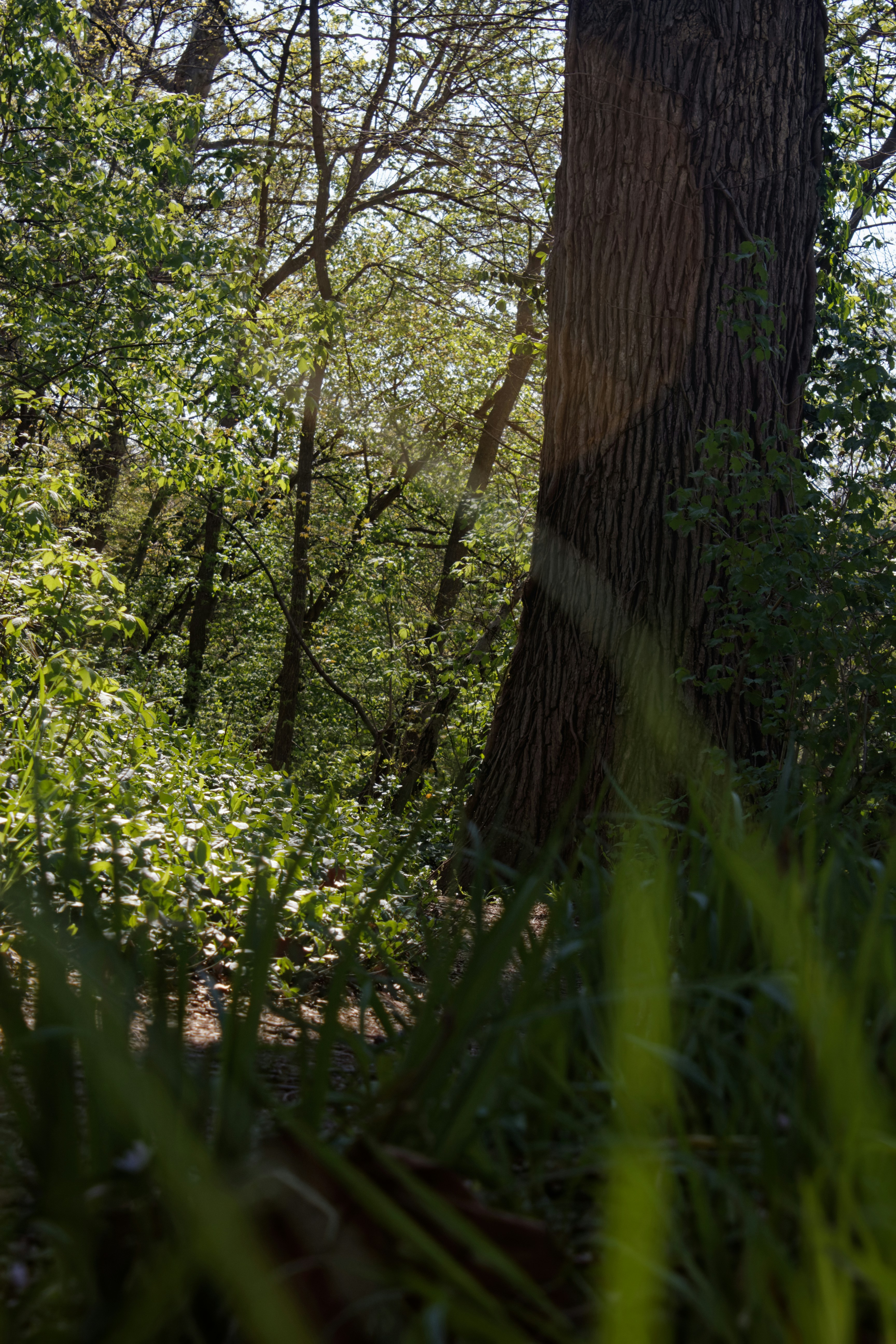 Photo by mrgreatheart