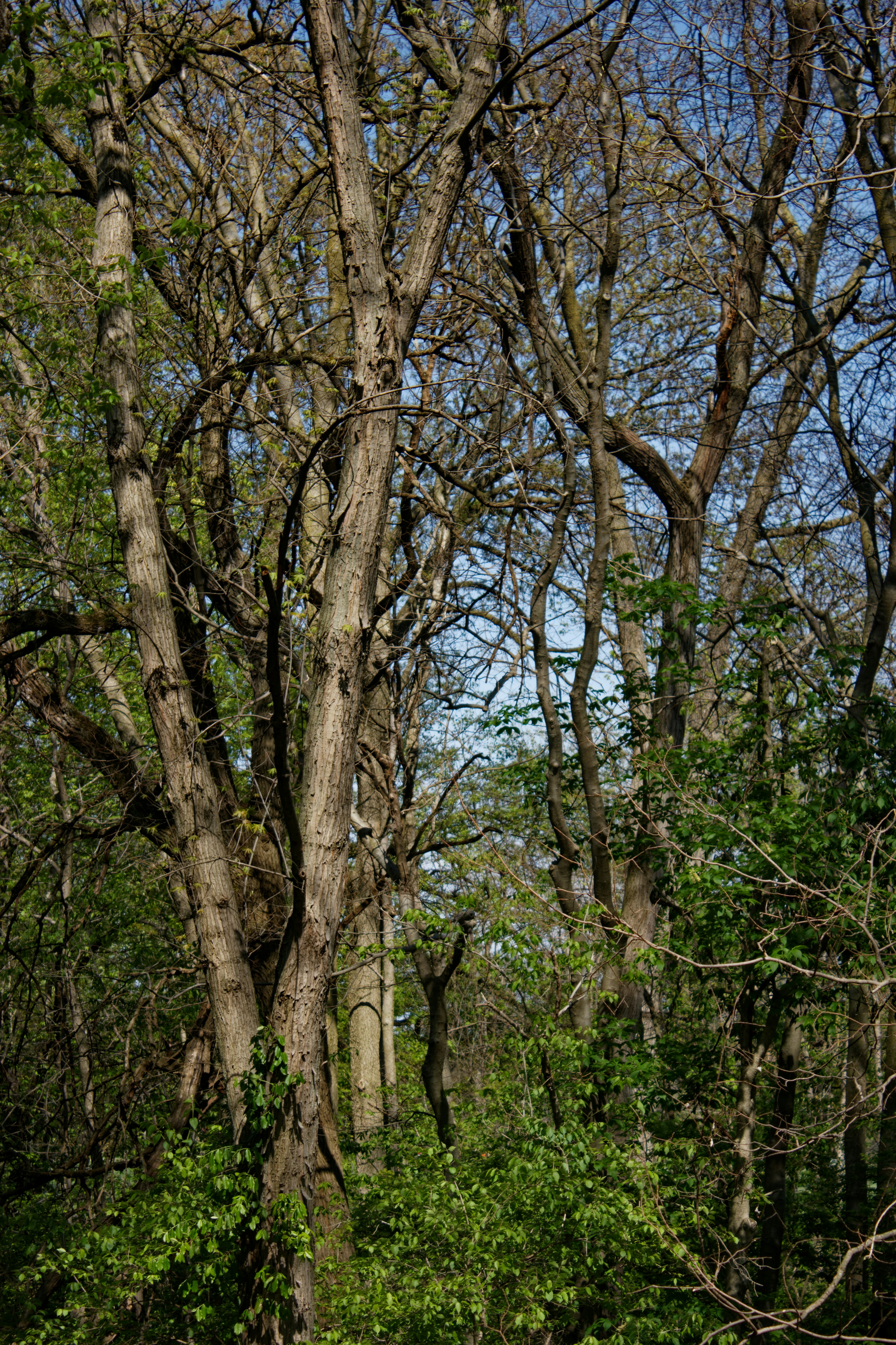 Photo by mrgreatheart