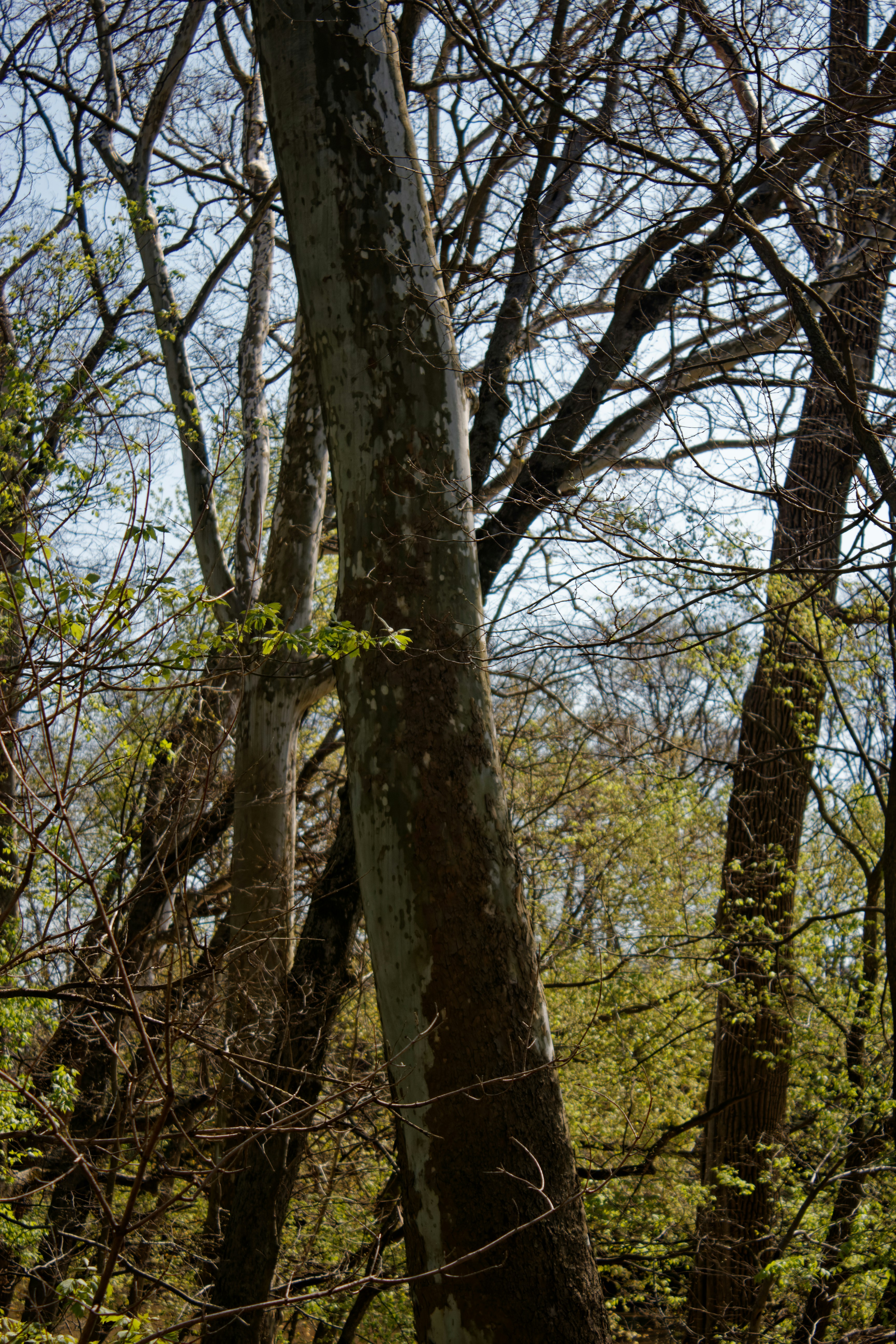 Photo by mrgreatheart