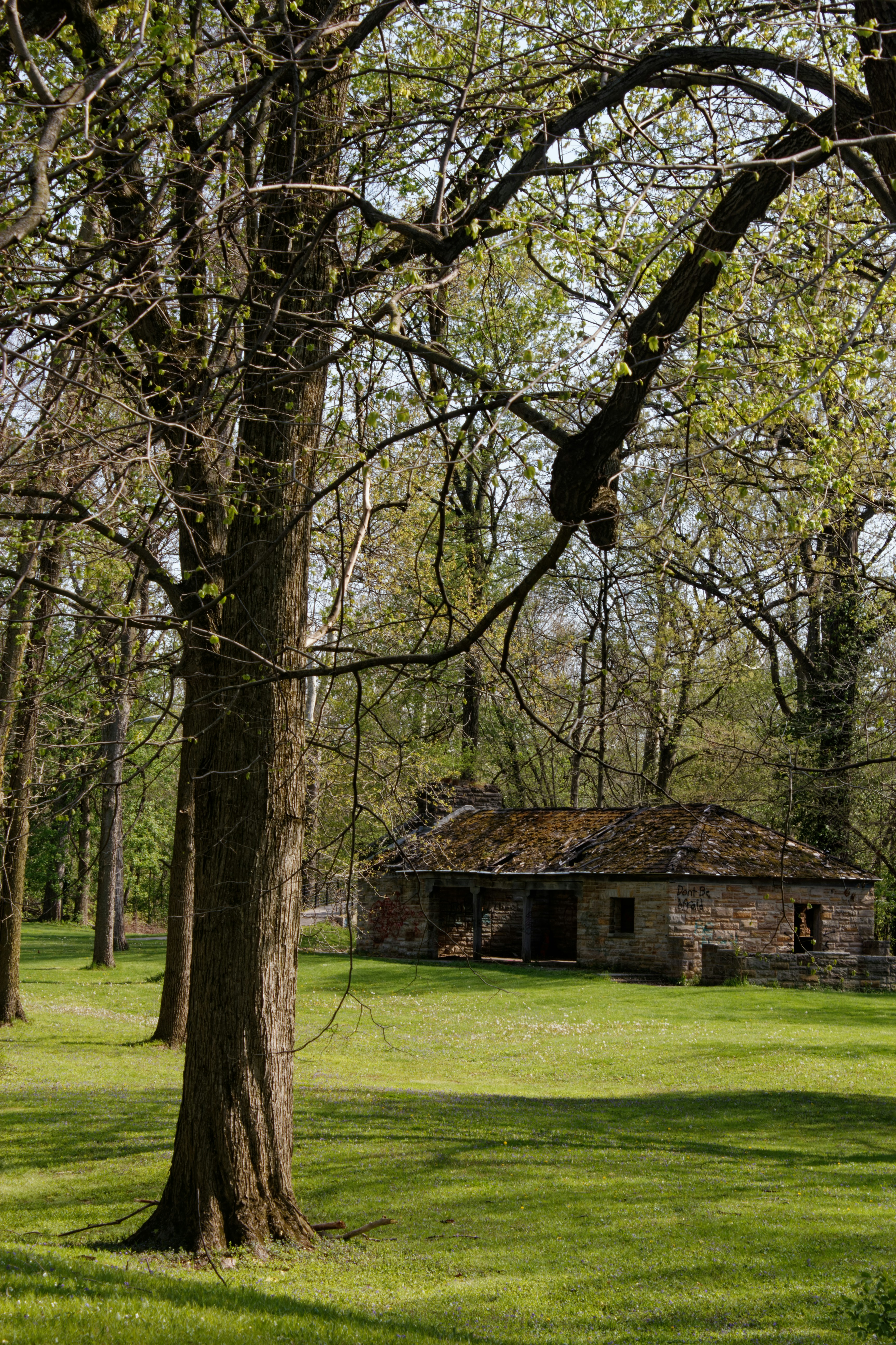 Photo by mrgreatheart