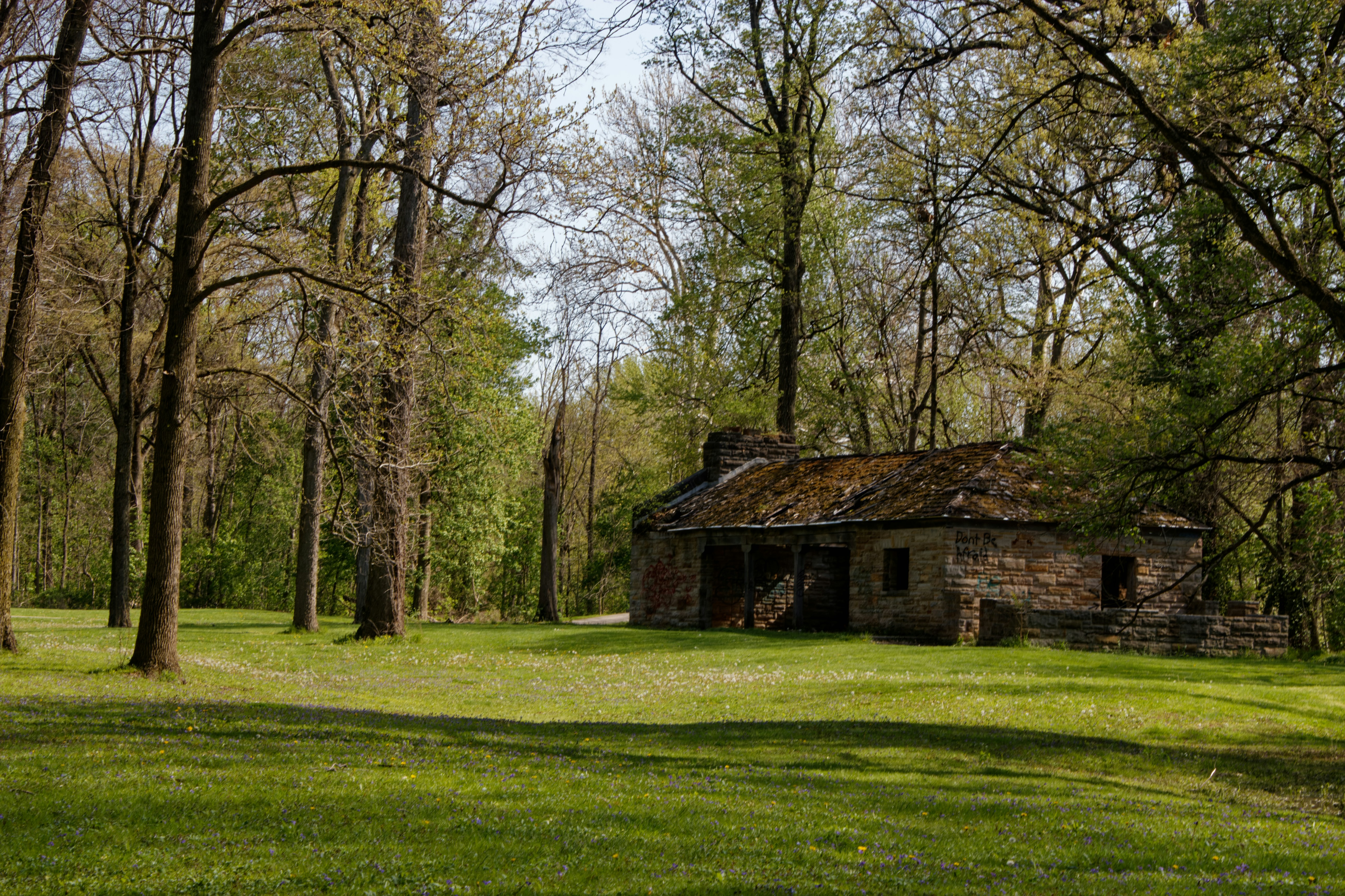 Photo by mrgreatheart