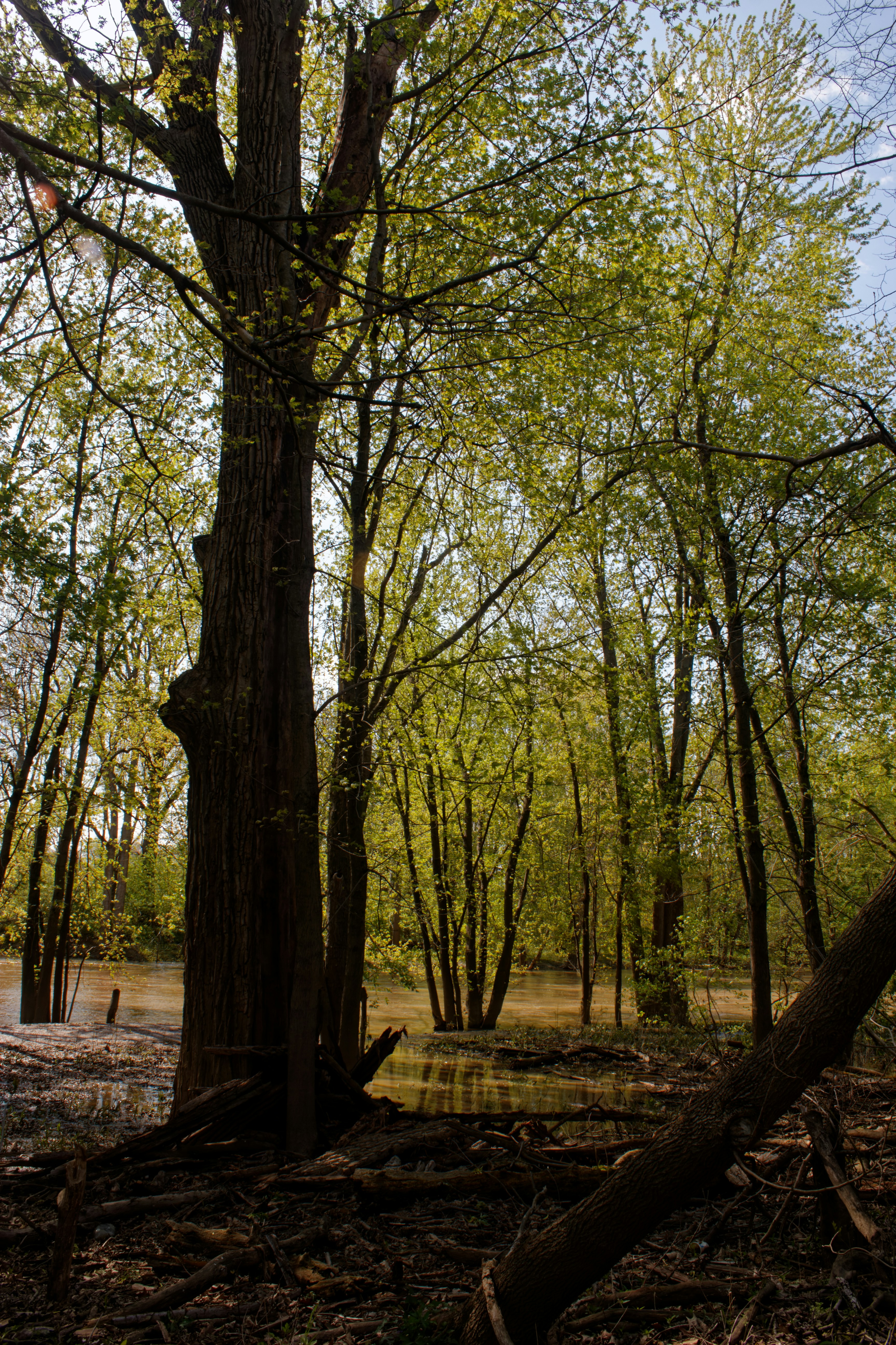 Photo by mrgreatheart