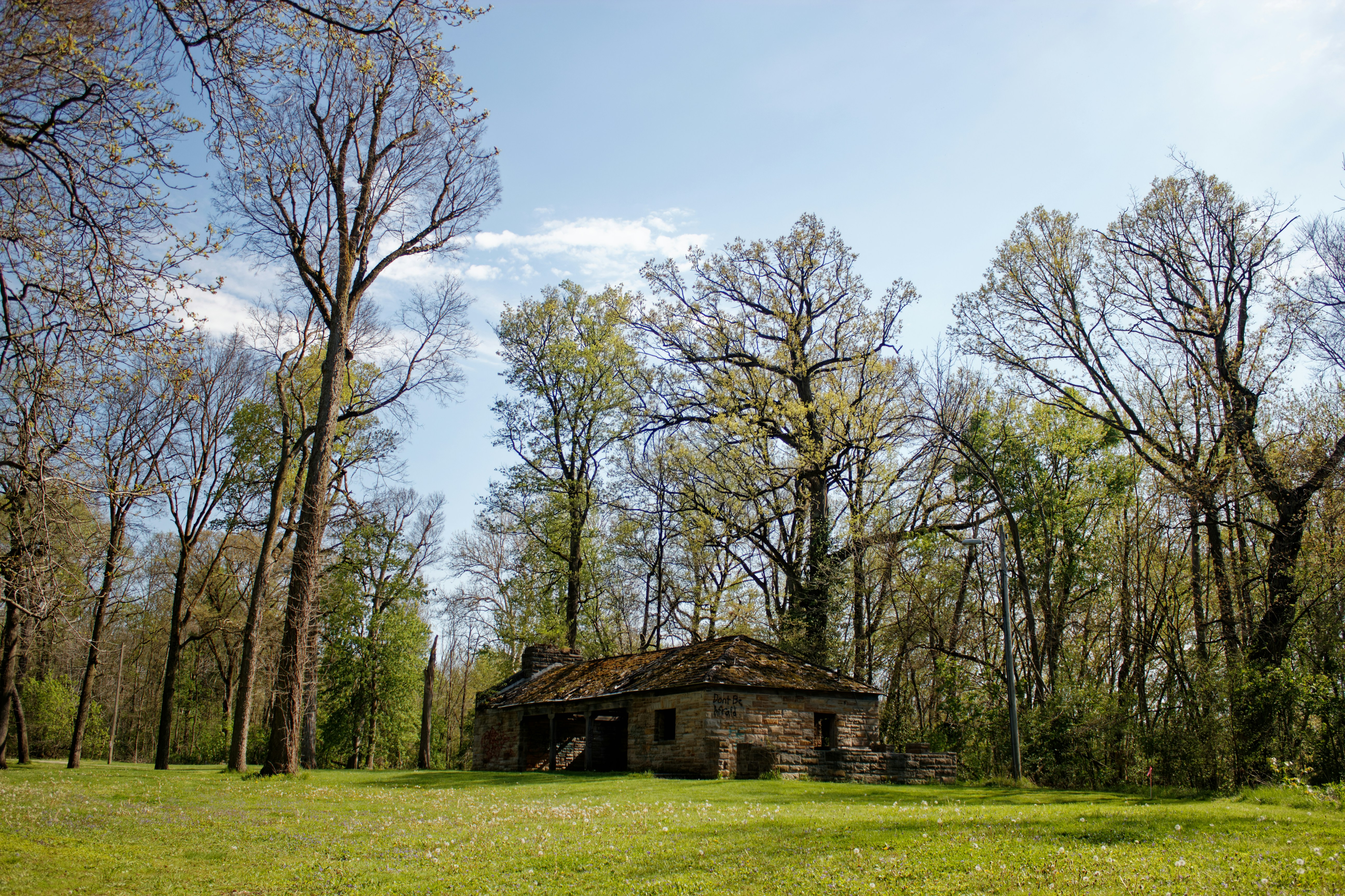 Photo by mrgreatheart