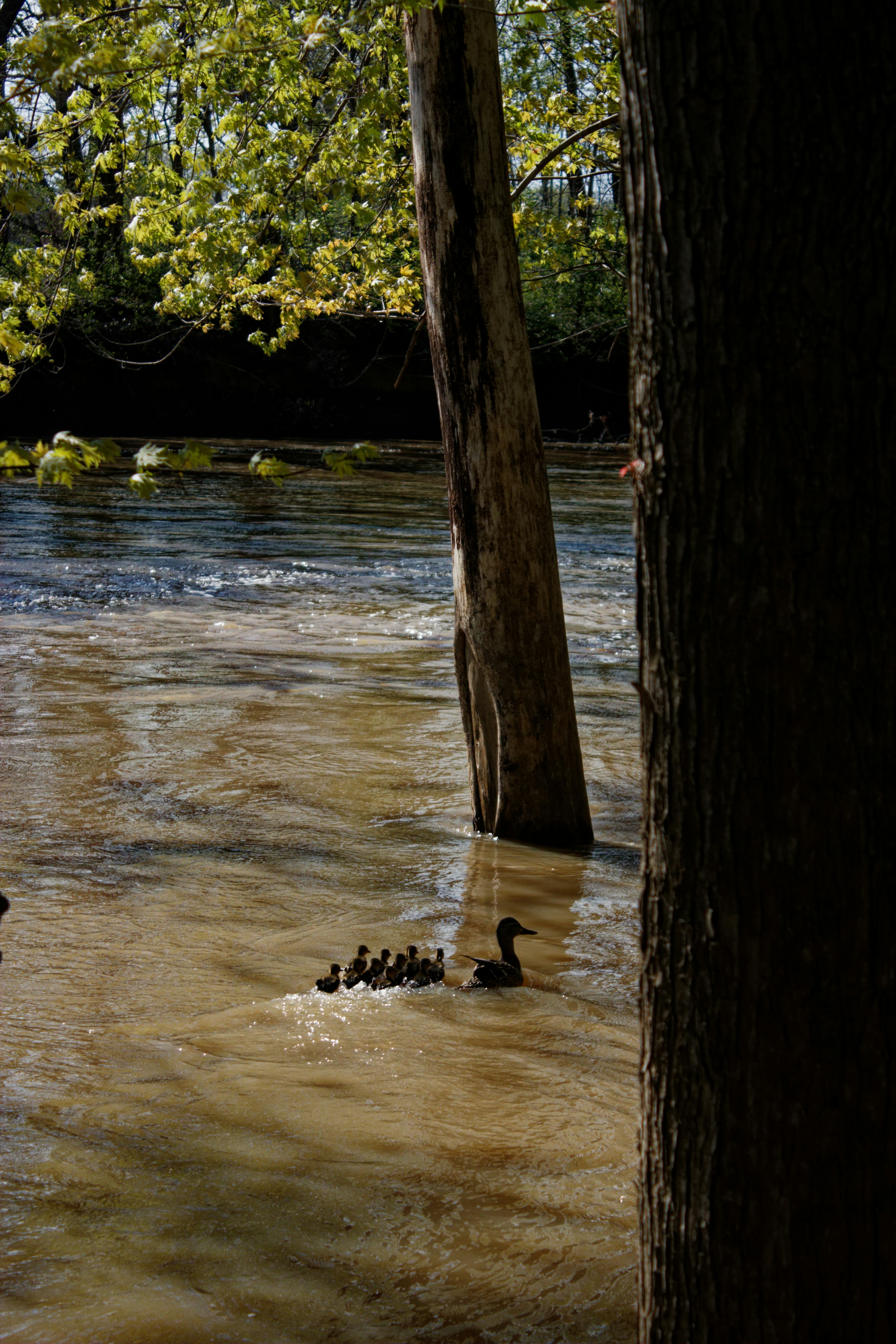 Photo by mrgreatheart