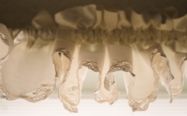 Close-up view of delicate, beige fabric ruffles with ornate lace edges, gathered in a flowing, wavy pattern.
