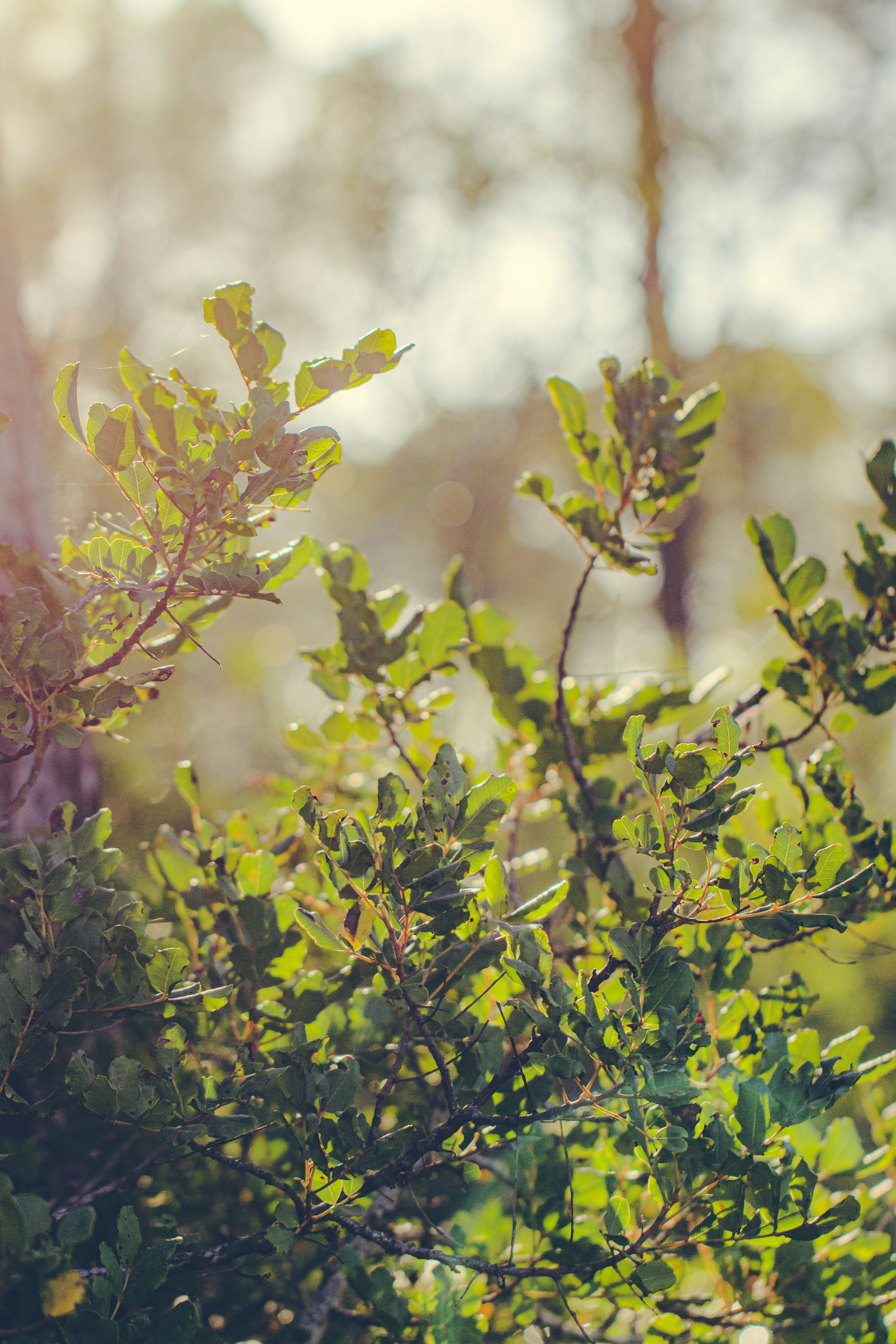 Photo by tomtherapidcodeguy